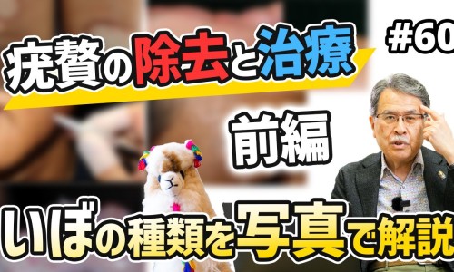 威灵仙的用途与作用-威灵仙泡醋的功效与作用网- 威灵仙的根有什么作用知识,分享威灵仙的根有什么作用